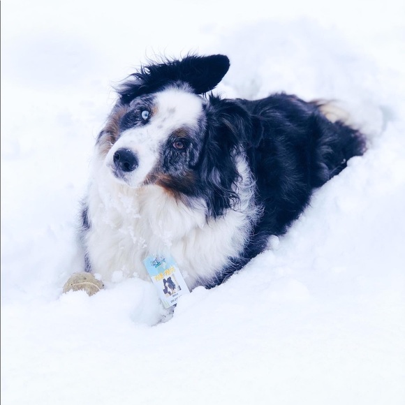 Meet your Posher, Tarynn - Picture 2 of 8